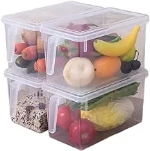 PINGKE 4 Pieces Plastic Food Storage Containers with Lid and Handle for Kitchen Refrigerator Egg Fruit Vegetable Storage Container