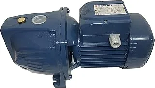 Pedrollo 1 HP Electric Centrifugal Clear Water Pump