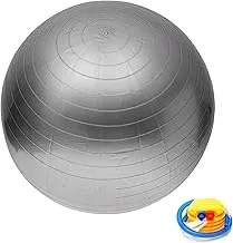 EXERCISE GYM YOGA SWISS 65cm BALL FITNESS AB ABDOMINAL SPORT WEIGHT LOSS SILVER