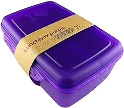 Lunch Box 2L. Purple