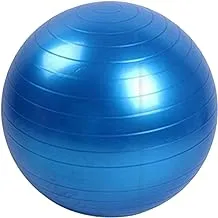 md stay fit yoga ball 65