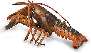 Collecta Lobster