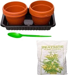 Generic Plastic Gardening Kit And Many Grain With Pots And Soil For Grow An Herbal Garden Set Of 13 Pieces - Multi Color