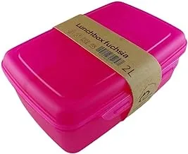 Lunch Box 2L. Fuchsia