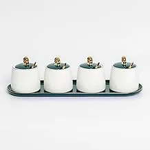 LA MAYA Spice set 4 pieces in tray, C-43-G4 Porcelain Green - White