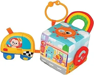 Baby Move Activity Center