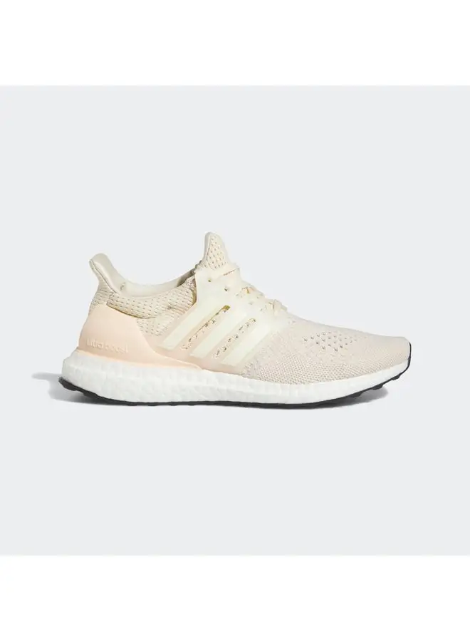 Adidas Ultraboost 1.0 Running Shoes