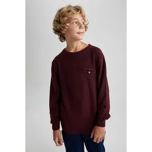 Defacto Boy Tricot Regular Fit Crew Neck Long Sleeve Pullover