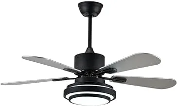 Enarat Wasp 42 Inch Black Ceiling Fan