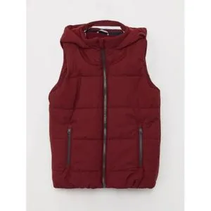 LC Waikiki Hooded Basic Boy Inflatable Vest