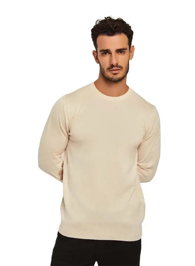 DALYDRESS Fancy Basic Crew Neck Pullover