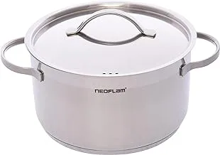 Neoflam Professional Stainless Steel Pot, Kitchen Cookware, Induction Pot with Impact-bonded Base Technology Pot 22 cm pcs For Kitchen,Home - Silver