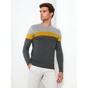 LC Waikiki Crew Neck Long Sleeve Color Block Men's Knitwear Sweater