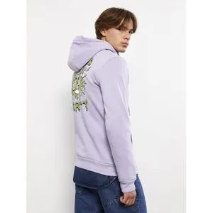 LC Waikiki Hoodie Long Sleeve Rick And Morty Printed Men's Sweatshirt