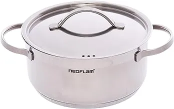 Neoflam Professional Stainless Steel Pot, Kitchen Cookware, Induction Pot with Impact-bonded Base Technology Pot 20 cm pcs For Kitchen,Home - Silver