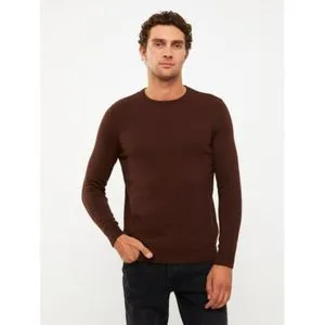 LC Waikiki Crew Neck Long Sleeve Men's Knitwear Sweater