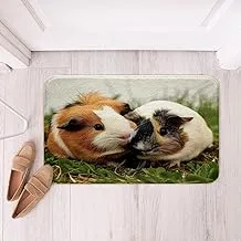 Guinea Pig Bath Mats for Bathroom Kids Cute Cavy Bathroom Rugs Cartoon Animal Theme Btah Rugs for Shower Tub for Boys Soft Shaggy Absorben Lovely Pet Green Bathroom Accossories 20