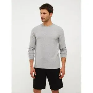 LC Waikiki Crew Neck Long Sleeve Men's T-Shirt