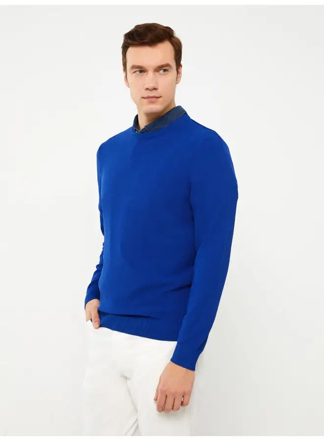 LC WAIKIKI Crew Neck Long Sleeve Men's Tricot Sweater