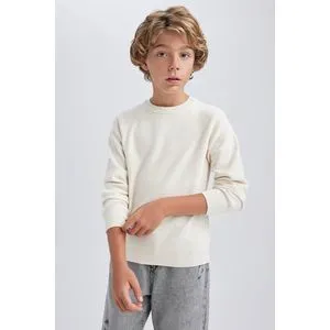 Defacto Boy Tricot Regular Fit Crew Neck Long Sleeve Pullover