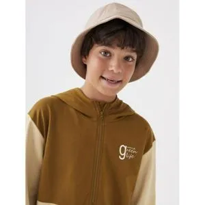 LC Waikiki Hooded Color Block Long Sleeve Organic Cotton Boys Sweatshirt