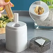 Fresh Toothpick Dispenser (Grey)_one year warranty