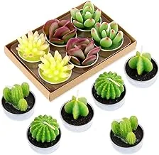 INFINITY-Plus Cactus Candles Set of 6 Decorative Candles for Home Decor and Relaxation, Smokeless Candles for Home (F)