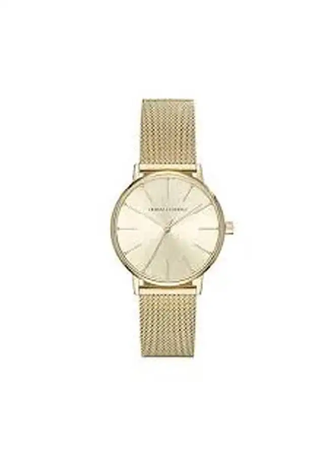 Armani Exchange Women's Stainless Steel Analog Watch AX5536