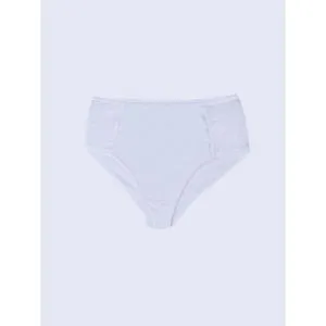 LC Waikiki Plus Size Lace Detailed Classic Panties