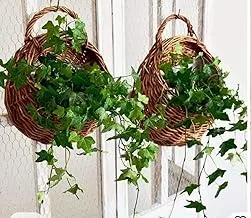 MacrameStore/boho decor - مجموعة بامبو حامل زرع من قطعتين 20سم & 25 سم - Plant Holder Pumpo 20 & 25 CM