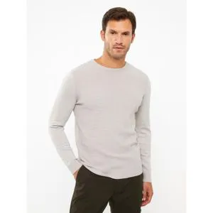 LC Waikiki Crew Neck Long Sleeve Men's Tricot Sweater