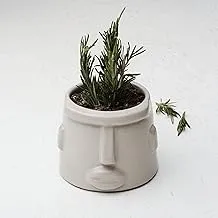 HomePro Beige Pottery Pot