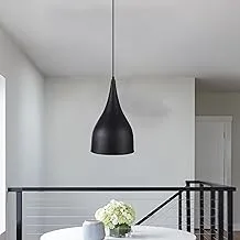 El Rawda RL-LC-001 Modern and Elegant High Quality Ceiling Lamp for Living Room or Bedroom - Black