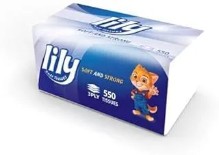 Dilva Lily Economical Tissue Box 550 Tissue