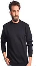 Hero Basic Men's Sweat shirt Milton Embroidered 