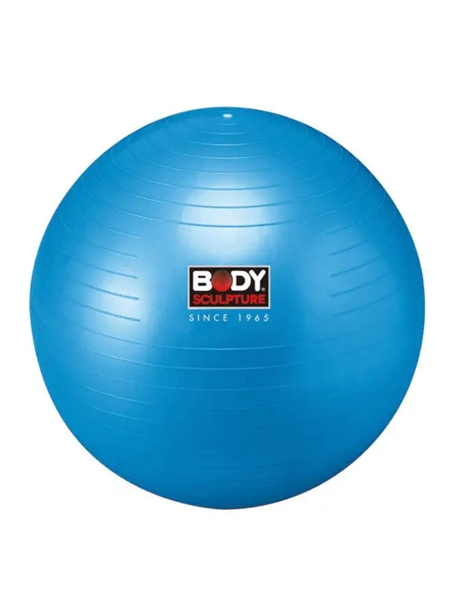 BODY SCULPTURE Anti Burst Weighted Gym Ball