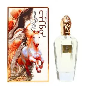 My Perfumes Haizum - For Unisex - EDP - 100ml