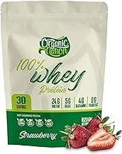 Organic Nation | Whey protein | Helps with muscle building | No fat Gaining | Meal Replacement | Endless Power | Ideal for Athletes | Diet Friendly | 1020g | 24g Protein | Strawberry