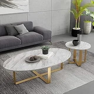 sama steel center table consisting of two pieces with dimensions 50cm * 100 cm * 45cm oval shape & 50cm * 50cm * 40cm circle shape made of steel with gold electrostatic coating