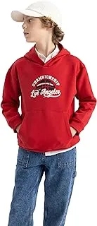 DeFacto boys Regular Fit Hooded Printed Knitted Sweatshirt