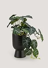 Matalan Trailing Plant in Tall Rounded Pot, 33 cm x 10 cm Size