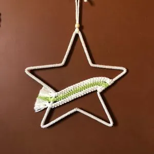 Macrame Rainbow Star, Handmade Macrame, Star Shape