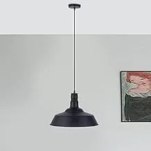 El Rawda RL-PS-001 Modern and Elegant High Quality Ceiling Lamp for Living Room or Bedroom - Black * White