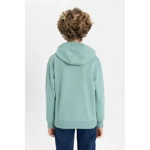 Defacto Boy Regular Fit Hooded Long Sleeve Knitted Sweat Shirt.