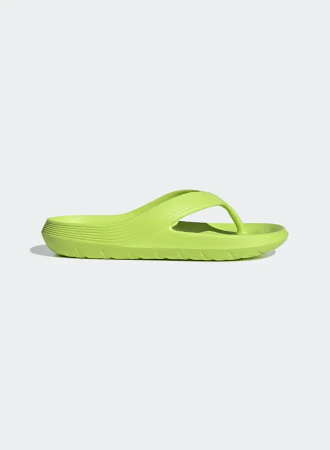 Adidas Adicane Flip-Flops