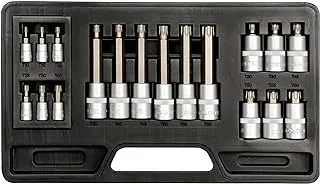 BIT SOCKET SET, 18PCS: TORX T10-T60MM