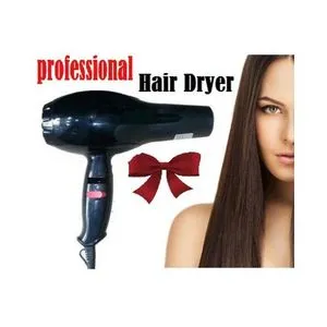 2288 Professional  Hair Dryer  - Black