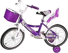 Generic Barbie Kid's Bike with Basket in Front and Box in Behind, Size 16, Multicolor