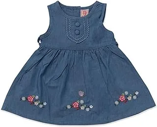 lovely land,blue jean dress,6 months,blue jeans