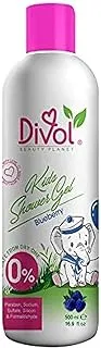 Divol Blueberry Kids Shower gel 500ml